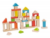 EverEarth - 50pc Wooden Building Blocks  WAS $34.95