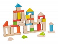 EverEarth - 50pc Wooden Building Blocks WAS $34.95