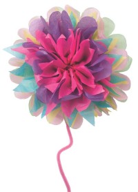 Alex - My Giant Paper Flowers