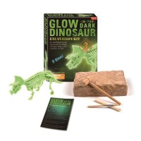 G.I.D Dinosaur Excavation Kit