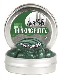 Thinking Putty (Sensory) - Evergreen Scented 2