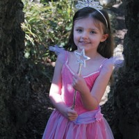 Fairy Dress Up Costume (3-5yo)